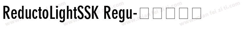 ReductoLightSSK Regu字体转换